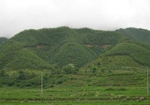 墓地风水选址